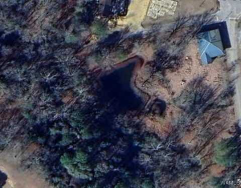 10 Jackson Street, Gainesville, AL 35464