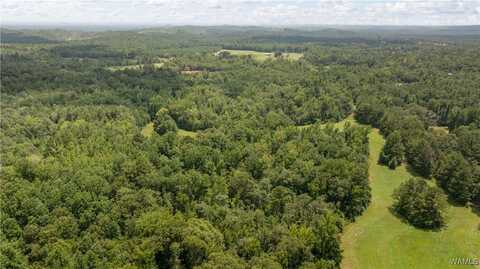 Smoky Ridge Road, Foster, AL 35463