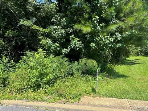 Kristi Lane unit: 30, Fosters, AL 35463