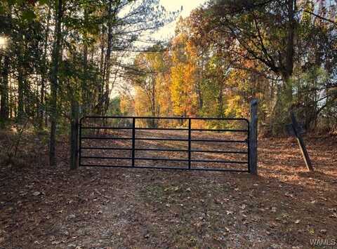 Martin Road Spur, Northport, AL 35473