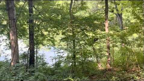 2170 Birmingham Road, Centreville, AL 35042