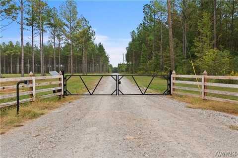 11 County Road 21, Moundville, AL 35474