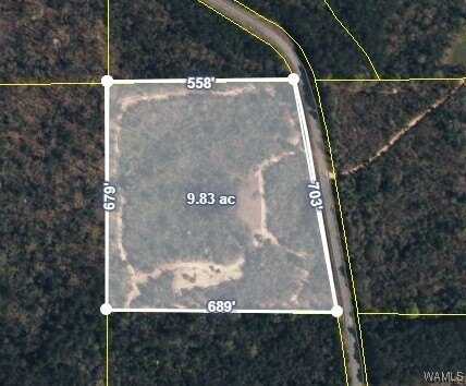 470 Birmingham Road, Beaverton, AL 35544