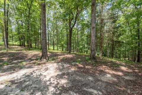Frank Lary Road, Northport, AL 35475