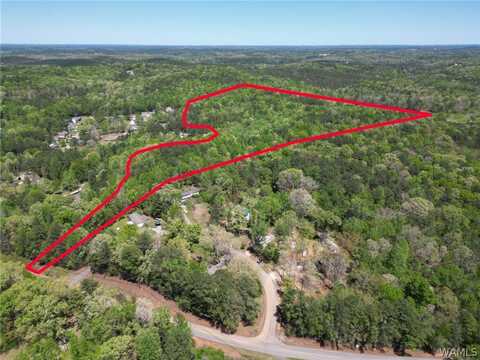 Clements Road, Cottondale, AL 35453