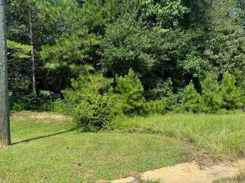 37 Kristy Lane unit: 37, Fosters, AL 35463