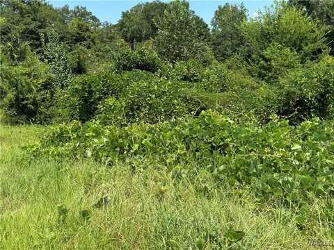 46 Shannon Lane, Fosters, AL 35463