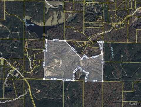 Station 32 Road, Cottondale, AL 35453