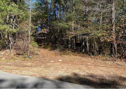 PARSONS DRIVE, Vance, AL 35490