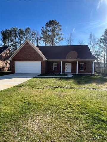 17865 ALECIA Drive, Vance, AL 35490