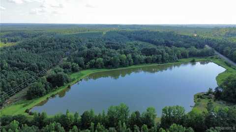 25845 US Highway 11, Eutaw, AL 35462