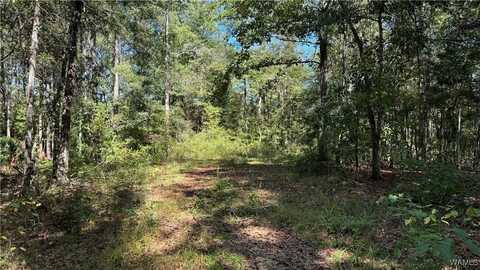 00005 Scottsville Road, West Blocton, AL 35184
