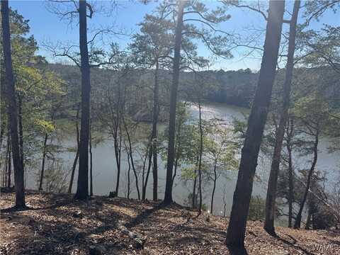 14201 CLIFF Drive, Northport, AL 35475