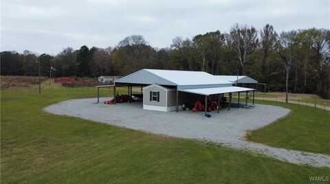231 Sipsey River Road, Aliceville, AL 35442