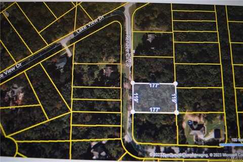 9 Renaee Circle, Lake View, AL 35111