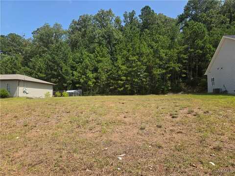 18448 Thoroughbred Drive, Vance, AL 35490