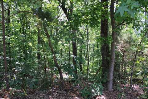 Oak Forest Drive, Mc Calla, AL 35111
