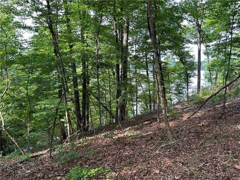 0 lot 52 Highpoint Cove, Northport, AL 35475