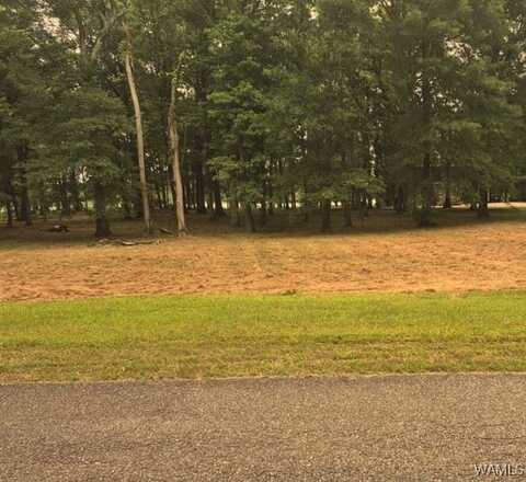 Cypress Point Drive lot: 87, Akron, AL 35441