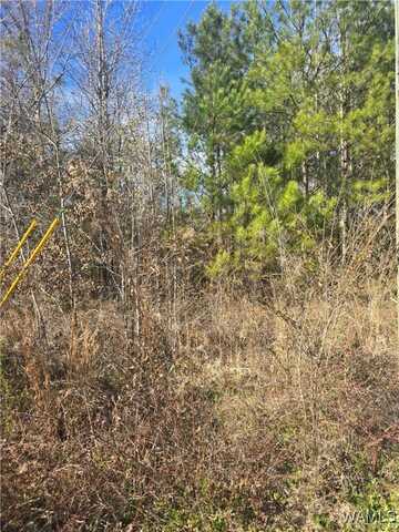 16 TIMBERTOP Lane, Fosters, AL 35463