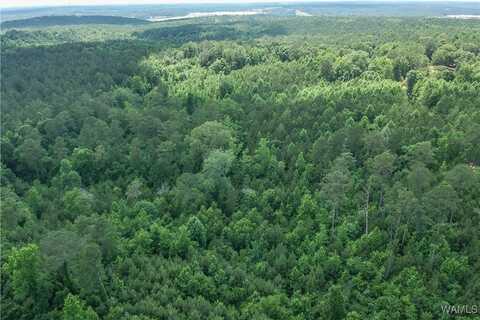 Hopewell Road, Vance, AL 35490