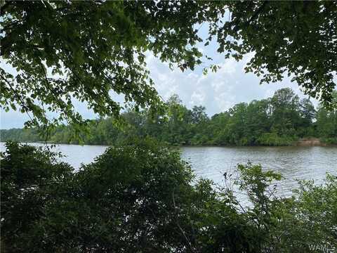Bass Drive, Eutaw, AL 35462