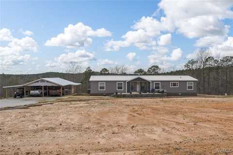 15670 Tabernacle Road, Northport, AL 35475