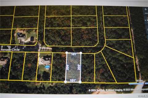 21 Renaee Circle, Lake View, AL 35111