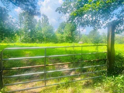1950 Pine Grove, York, AL 36925