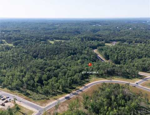 10 Lake Island Rd, Tuscaloosa, AL 35406