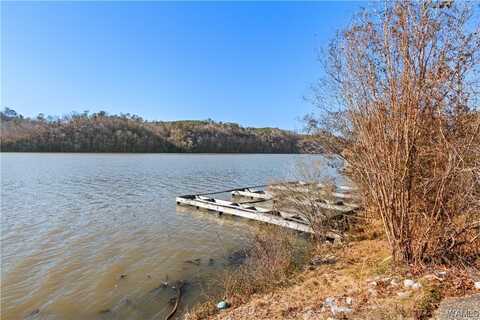 Eagle Path lot: 23, Brookwood, AL 35444