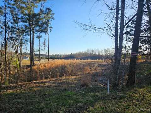 Tuliptree Lane, Northport, AL 35473