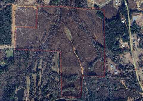 Gorgas Road, Berry, AL 35546