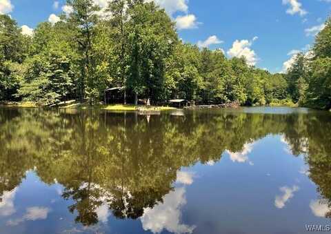 17796 Dry Branch Loop, Northport, AL 35475