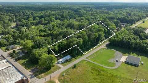 Jones Street, Greensboro, AL 36744
