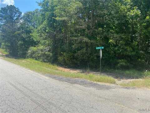 Hwy 102, Fayette, AL 35555