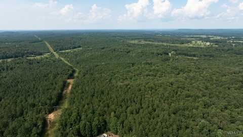 Wilkerson Road, Fayette, AL 35555