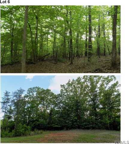 6240 Garner Road, Tuscaloosa, AL 35405