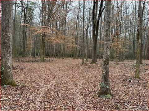 16284 Beams Road, Northport, AL 35475