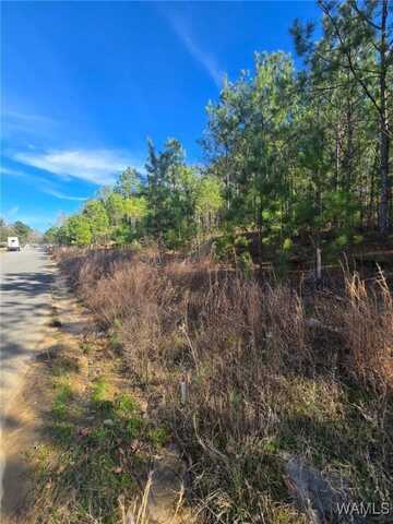 20 Timbertop Lane, Fosters, AL 35463