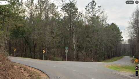 Old Marion Road, Tuscaloosa, AL 35405