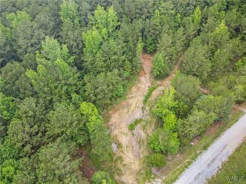 8850 Tom Taylor Road, Northport, AL 35473