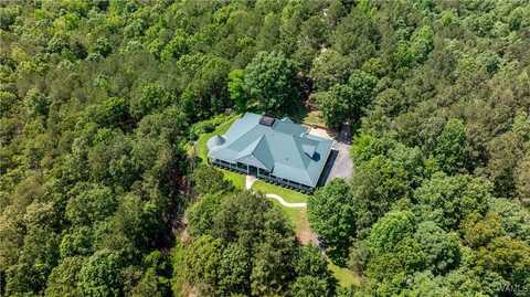 13447 Rocky Ridge Drive, Northport, AL 35475