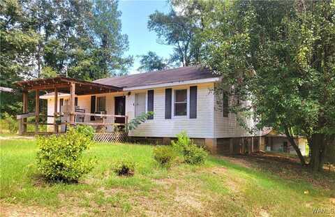 11229 Hwy 82 E, Duncanville, AL 35456