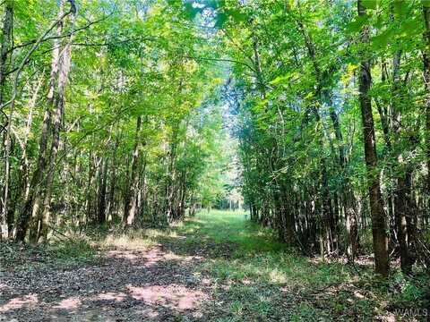 HWY 11, York, AL 36925