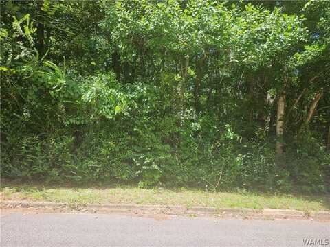 Northwood Lake Drive E, Northport, AL 35473