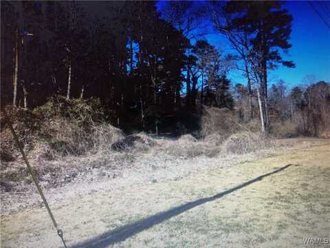 woodland Rd, Tuscaloosa, AL 35405