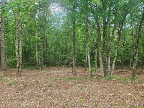 Magnolia Creek lot: 13, Gordo, AL 35466