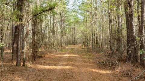 Al-171, Fayette, AL 35555