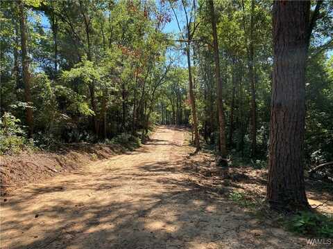 JONES ROAD, Northport, AL 35473